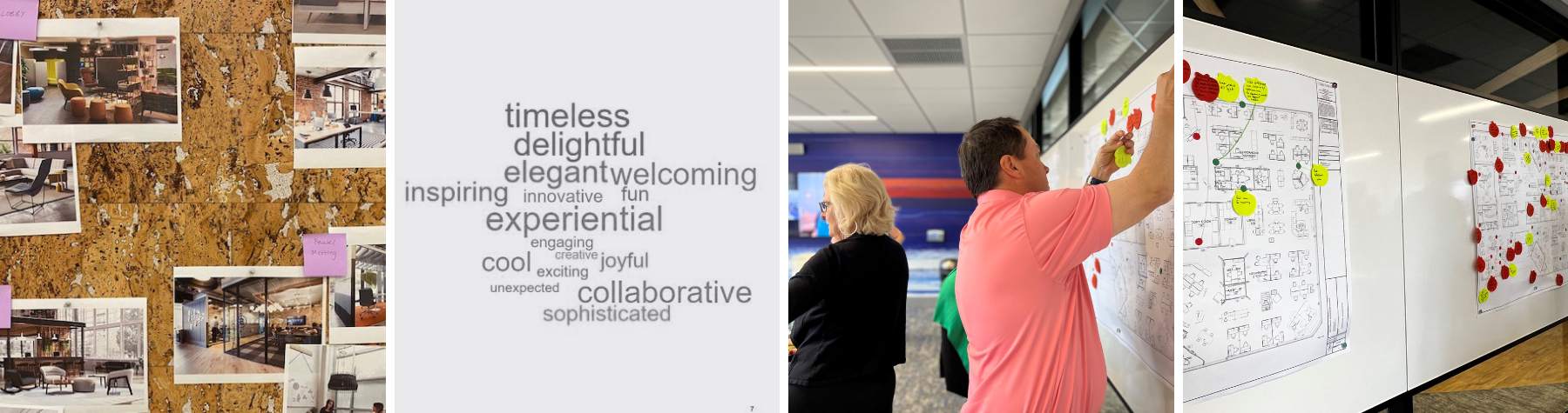 surveys, workshops, and collaborative sessions