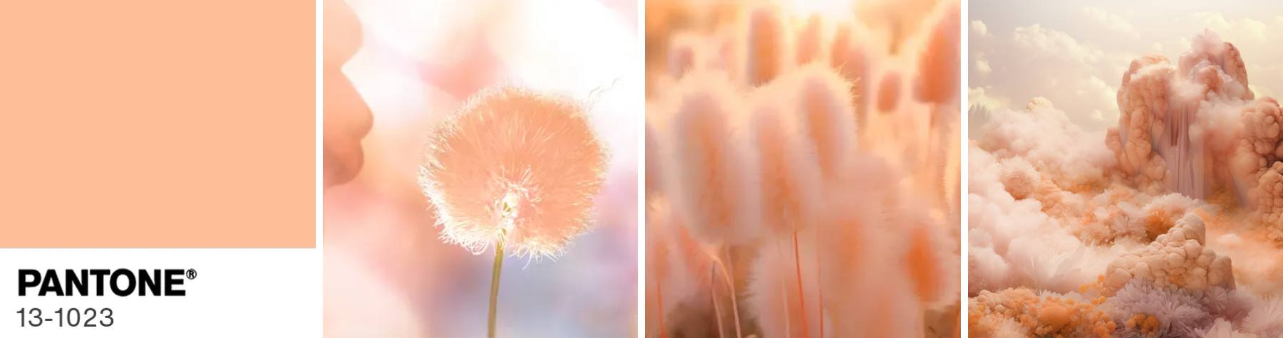 pantone peach fuzz color of the year