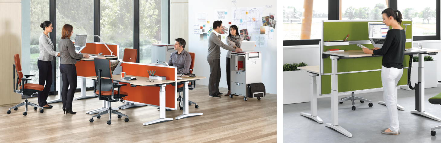 sit-stand desks