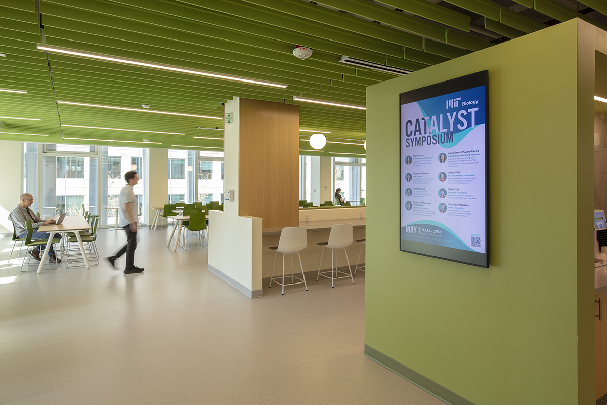 café with digital signage